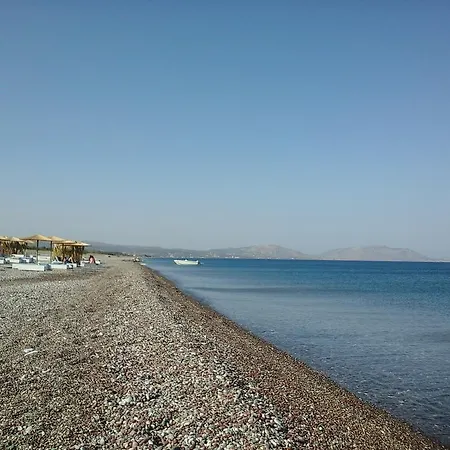 Aphrodite *