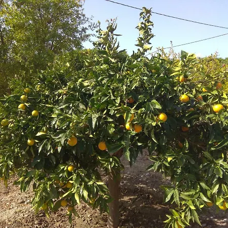 Aphrodite Vila Gennadi